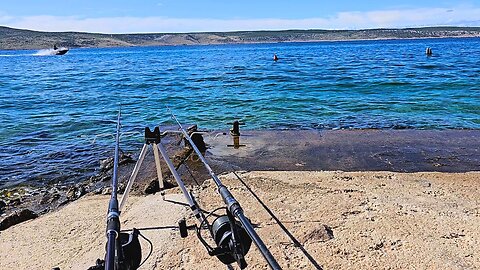 Fishing with CHICKEN MEAT in the Adriatic Sea, fish on