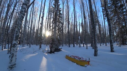 21 Days of living in the wild forest. Cooking food. I'm piling firewood - Series 2