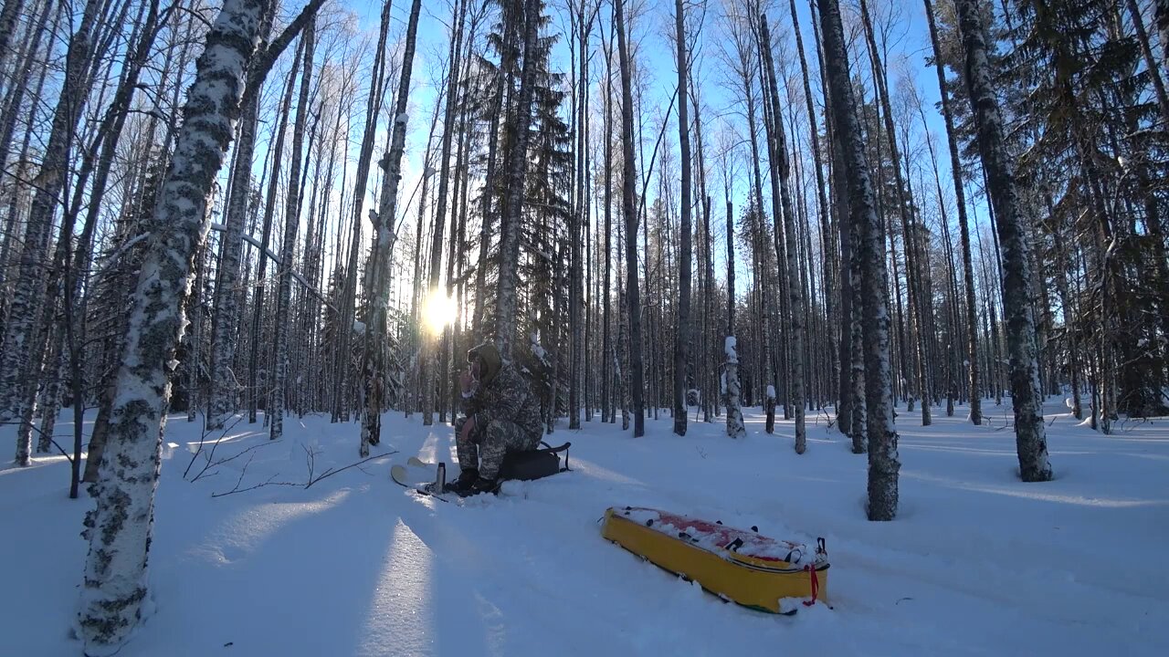 21 Days of living in the wild forest. Cooking food. I'm piling firewood - Series 2