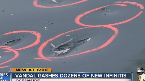 Vandal damages dozens of new Infinitis at Oceanside dealership