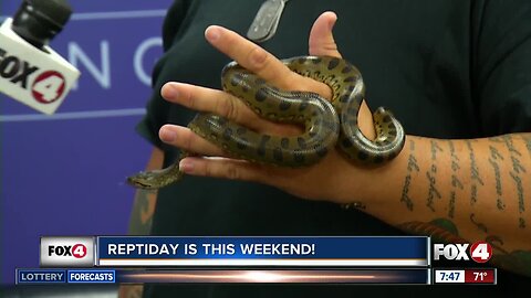 ReptiDay comes to Fort Myers