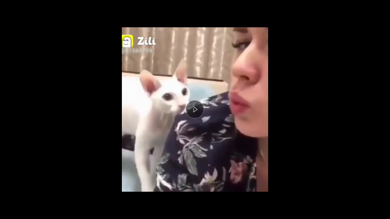 New Funny_Animal_WhatsApp_Status_🤣_Zili_Funn