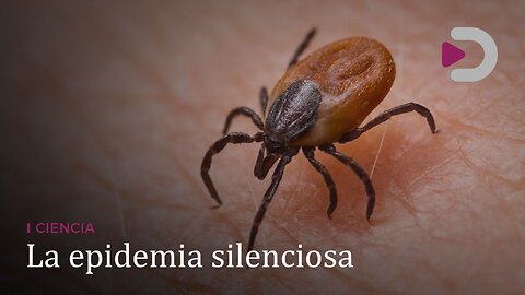 Ciencia | La epidemia silenciosa