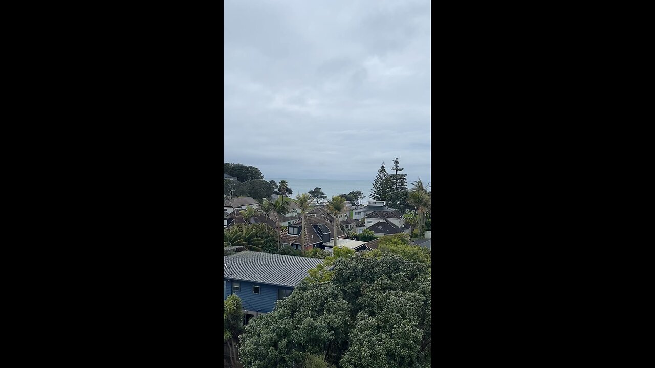 View of Nature | North Auckland