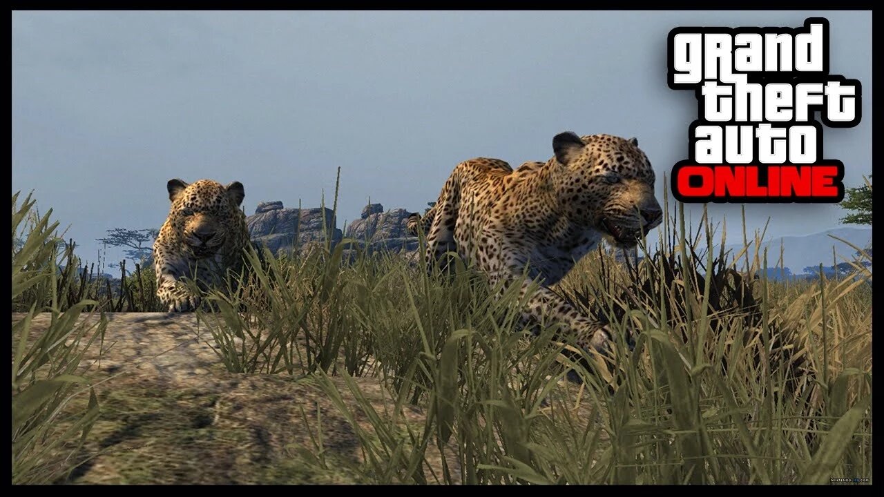 GTA 5 Mods - ANIMAL MOD ONLINE - Play As Animals In GTA 5 Online ! (GTA 5 Mods)