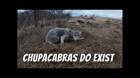 Chupacabras Do Exist - Eason Season