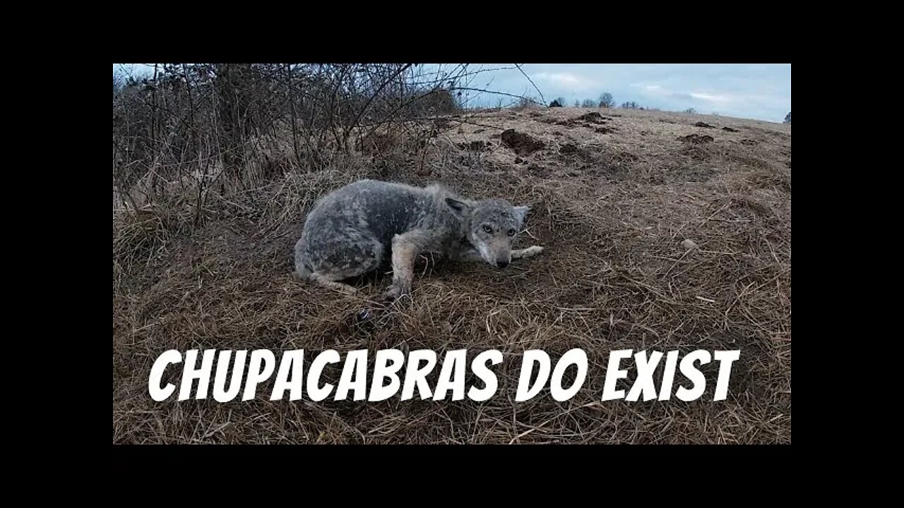 Chupacabras Do Exist - Eason Season