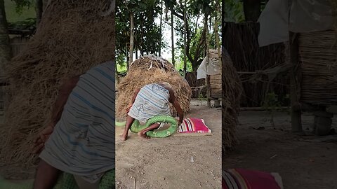 OMG! MOST KING COBRA SNAKE PRANK ON SLEEPING MAN! | #CONTENT321 #prank #funny #shorts
