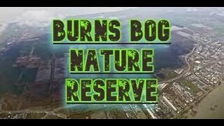 Exploring Burns Bog nature trail
