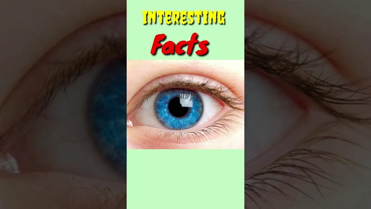 Top 5 interesting Facts #shorts #factsinhindi