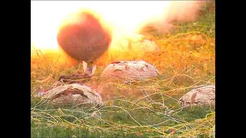 Exploding Bread