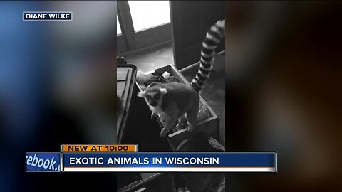 'It bit me!': Wisconsin women sue over lemur attacks