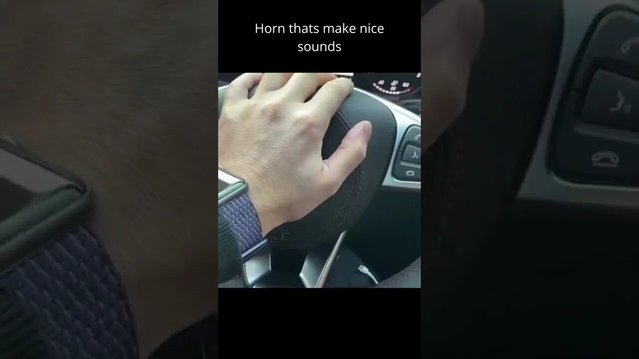 car horns that make fuuny sounds