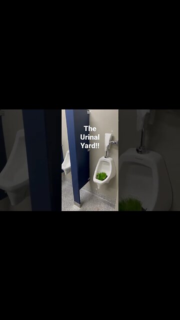🤯 The Urinal Yard!! 🤑