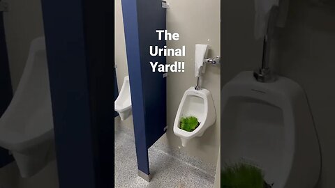 🤯 The Urinal Yard!! 🤑