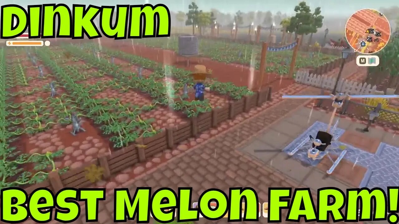 Dinkum Best Watermelon/Pumpkin Farm Method!