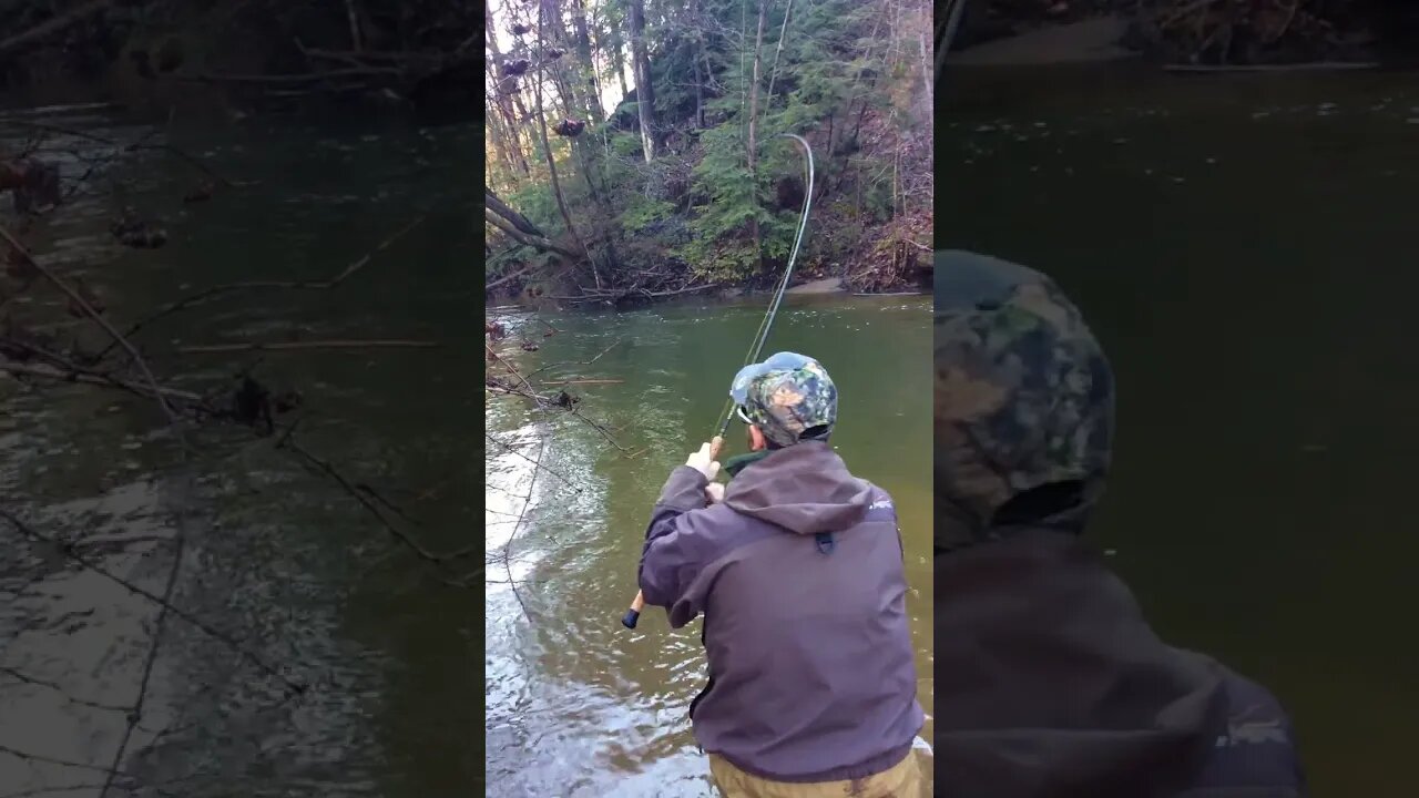 Tug of War Battle With a BIG Steelhead! #shorts #fishingshorts