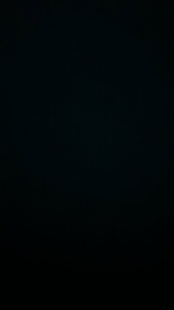 Behr Premium Plus Paint