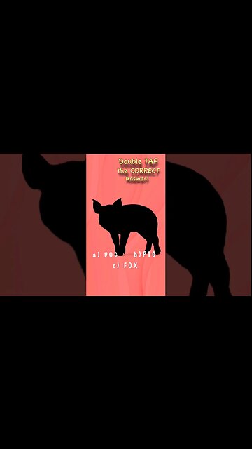 🐷 Guess the farm animal shadow game dog pig fox? quiz video #shorts