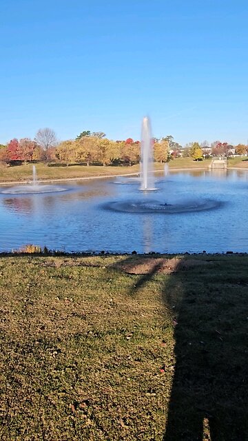 I am Proud to be of Dutch Heritage