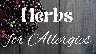 Our 3 Favorite Medicinal Herbs For Allergies.