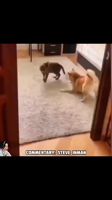 Dog's Fear Tactics Are Proven Useless
