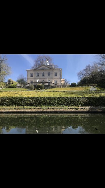 brown pelican is a bird of the pelican family