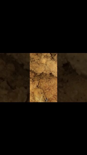 6 simplified steps to some fiiiiiya chicken tenders 🐔👍😝 #shorts