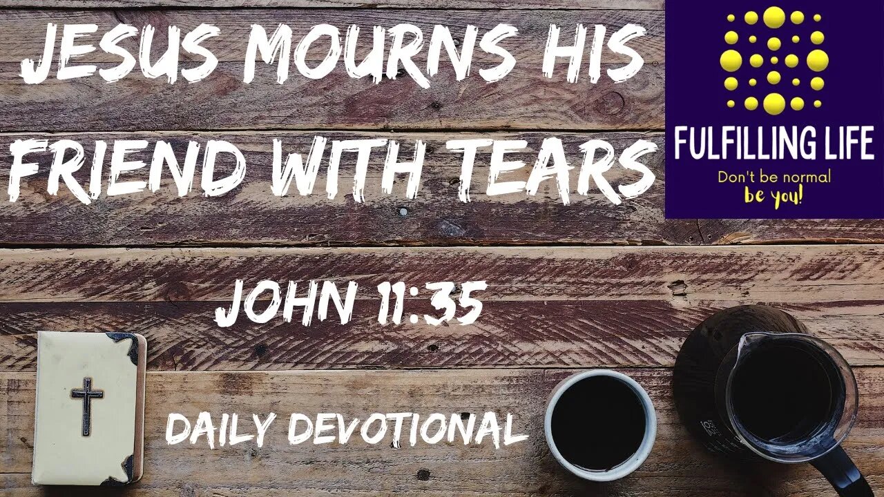 Jesus Shows Us His Grief - John 11:35 - Fulfilling Life Daily Devotional