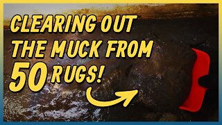 Nasty, Filthy, Stinky, Satisfying Drain Cleaning. It Was Thick With Mud !!