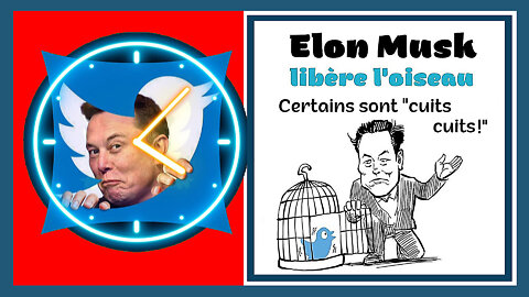 TWITTER,Elon MUSK et la liberté d'expression (Hd 720)