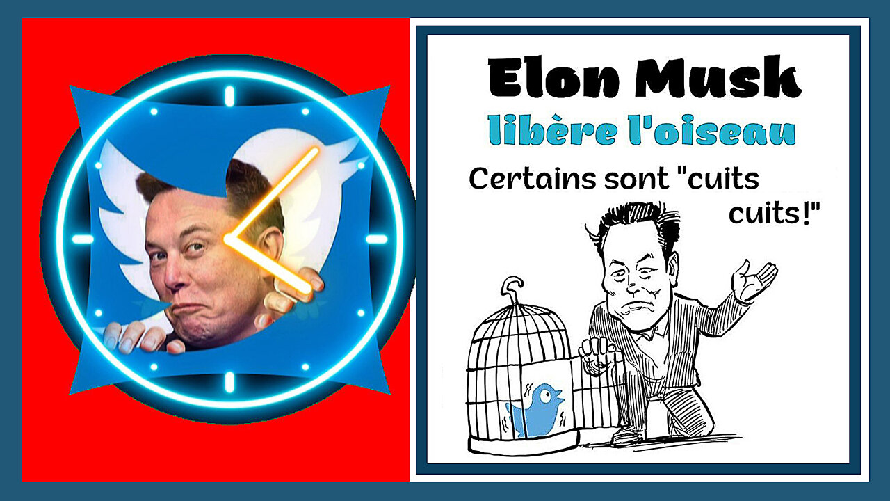 TWITTER,Elon MUSK et la liberté d'expression (Hd 720)