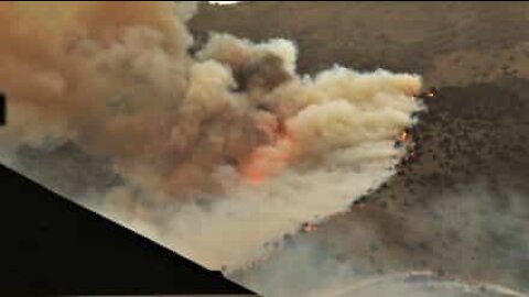 Devastating fire in Utah destroys over 10.000 hectares