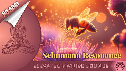 Pure Schumann Resonance 7.83 Hz Earth's Heartbeat With Healing Frequency of Bees NO ADS