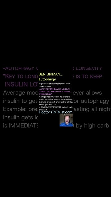 BEN BIKMAN keep insulin low throughout day WHEN YOU BURN BODY FAT!!