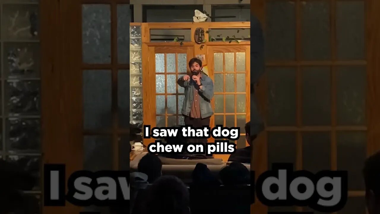 Dog almomst D!ES during Comedy Show! #Shorts