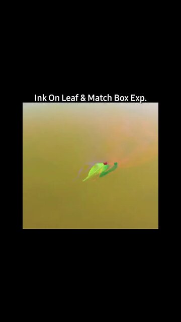 Science Experiment 3 #dailyhackness #Shorts #ytshorts #challenges #doityourself #useful