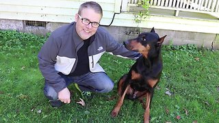 Talented Doberman Performs Magic Tricks With His Owner