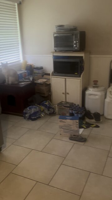 Curly asking to go outside