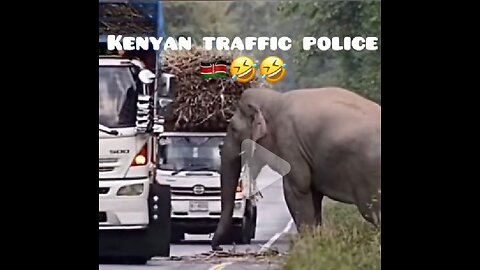 Elephant controlling vehicles