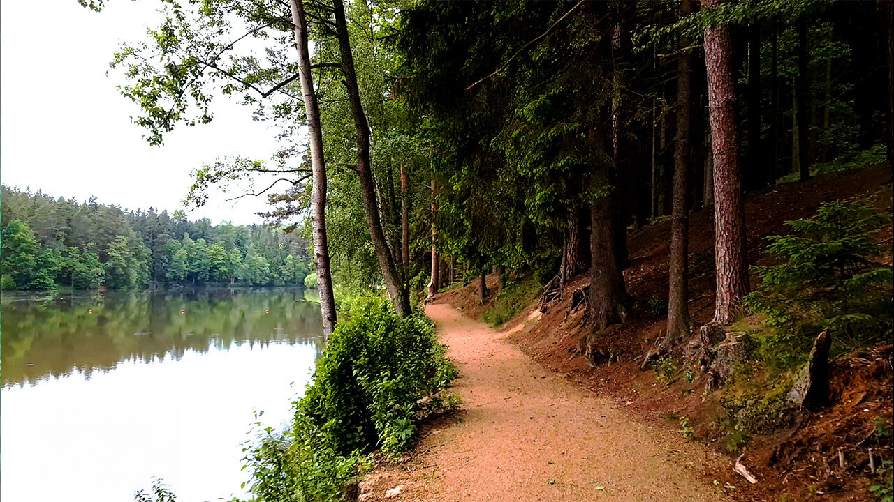 Waking Up At The Lake - Morning Walk At A Lake ASMR No Music