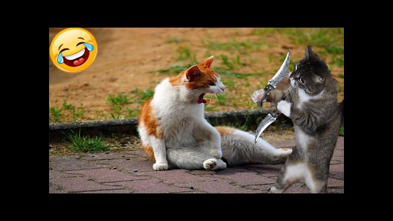 World Best Funniest🤣Cat vs animal vs Kid 🤼‍♂️ Entertainment Don't Try Laughing 🤣 2024 clips 🫡