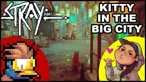 kitty in the big city in STRAY