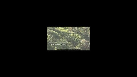 Russia Ukraine war