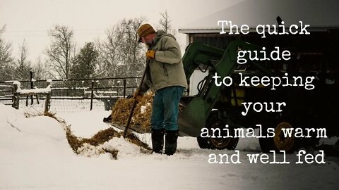 Hay Vs Straw on the Homestead: Two Minute Tuesday