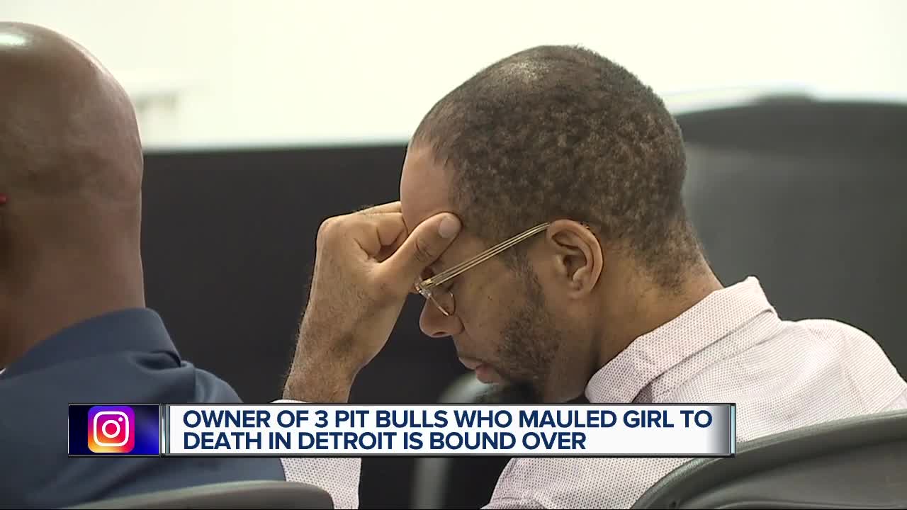 Owner of three pit bulls who mauled girl to death bound over for trial