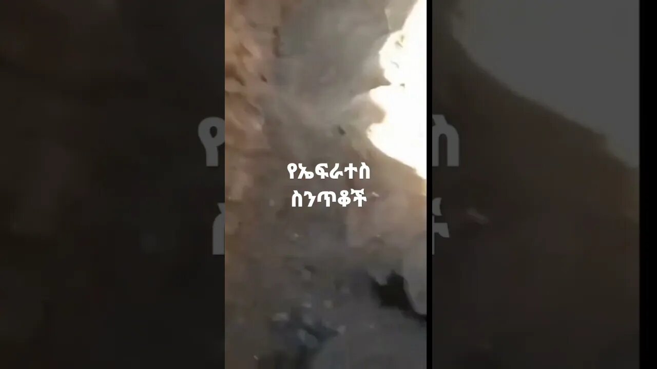 የኤፍራተስ ወንዝ