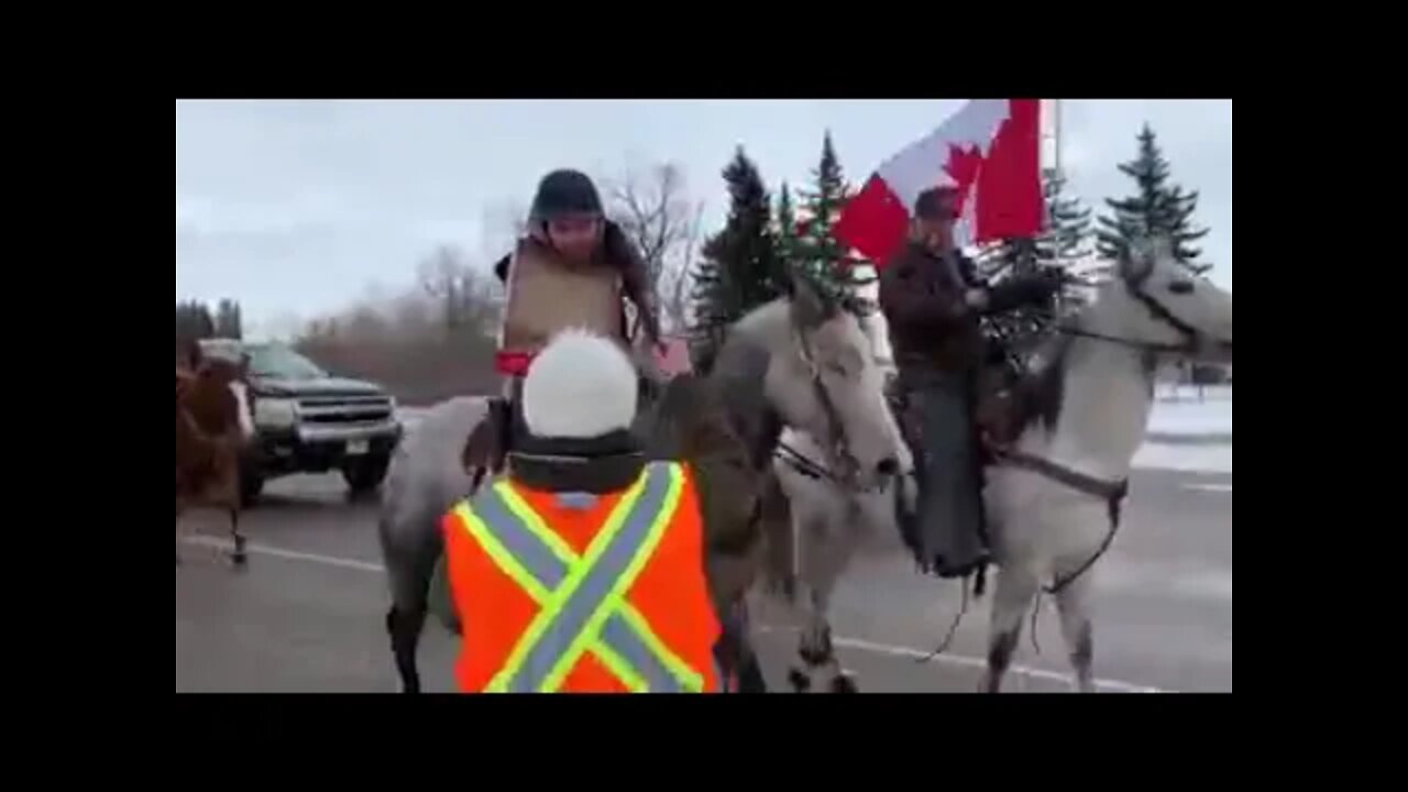 Alberta Showed Up In Style For The Freedom Chain March 5th 2022 | Horse Convoy