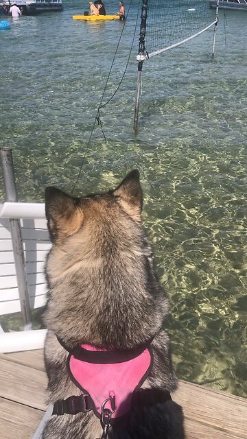 Shabbat shalom, August 31, the Lord sent his profits and seers Cedars