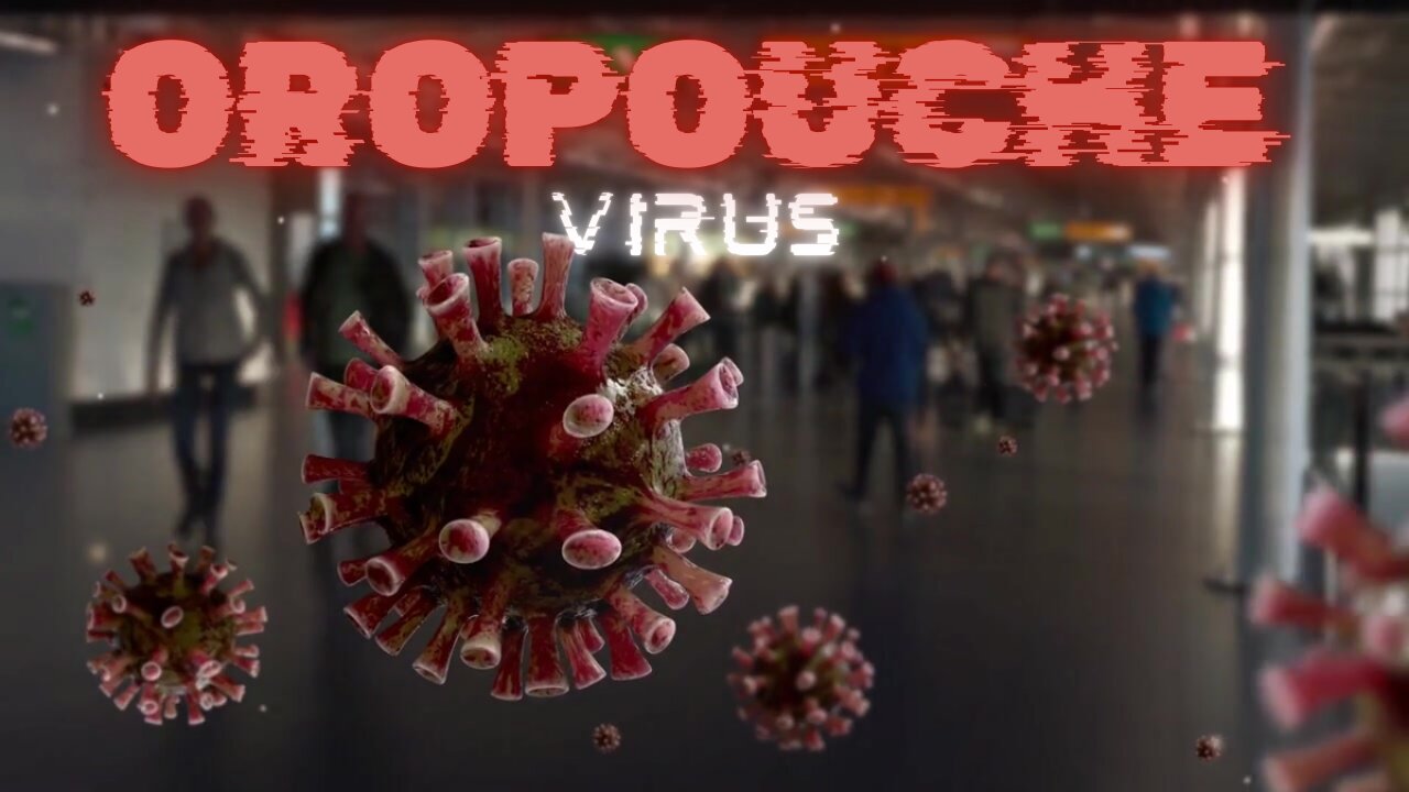CDC Alert Rising Oropouche Virus ( AUGUST 2024)